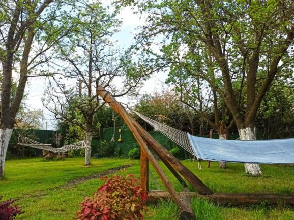 Villa Atlas Muhafazakar Havuzlu, Mustakil Genis Bahceli Sapanca Zewnętrze zdjęcie
